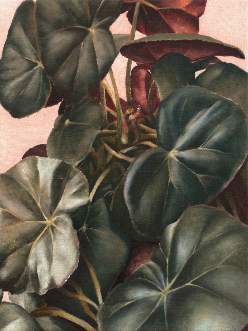 Botanix 2 (2023), 40 x 30 cm, oil on linen (private collection)